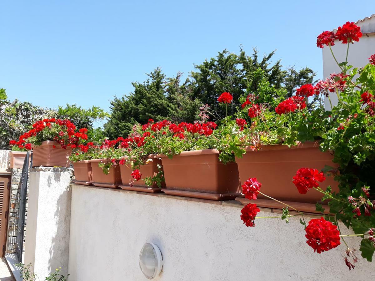 Villino Messina Apartment San Vito Lo Capo Ngoại thất bức ảnh