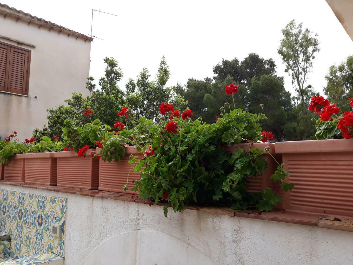 Villino Messina Apartment San Vito Lo Capo Ngoại thất bức ảnh